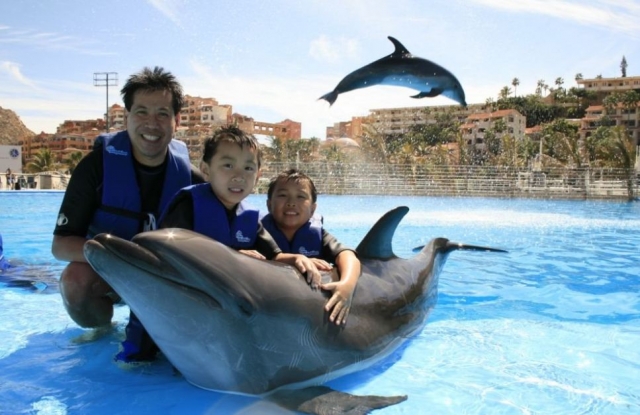  Swimming tour with dolphins 